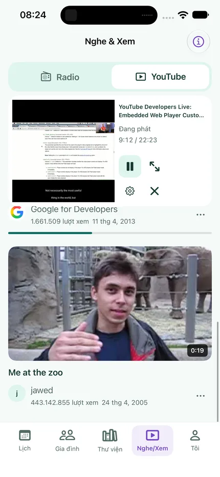 YouTube và player thu gọn trên iPhone